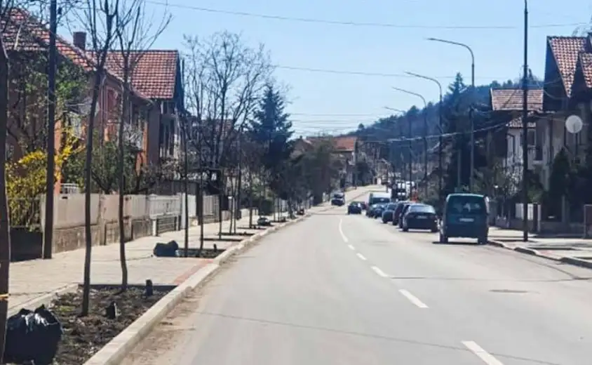 Počela sadnja drvoreda u ulici Ivana Milutinovića