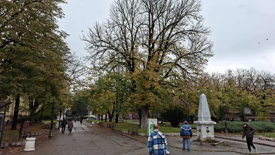 "Izbori što pre ili će Zaječar nestati": Anketa Zaječaraca šta misle ko je kriv za ovakvo stanje u gradu
