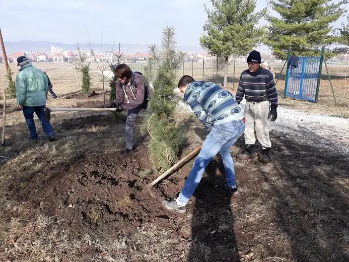Mladi su zakon: Izviđači sadnicama oplemenili prostor