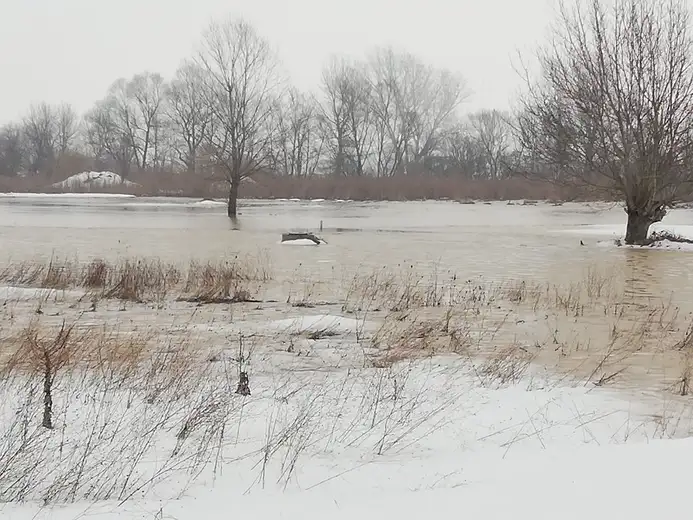 Foto izveštaj iz ugroženog područija: Izvorski put i Pišura
