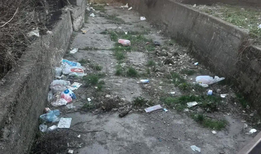 Da li jaruga u Zaječaru služi kao smetlište?