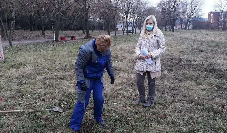 U okviru akcije "Posadi svoj hlad" stigle sadnice jasena