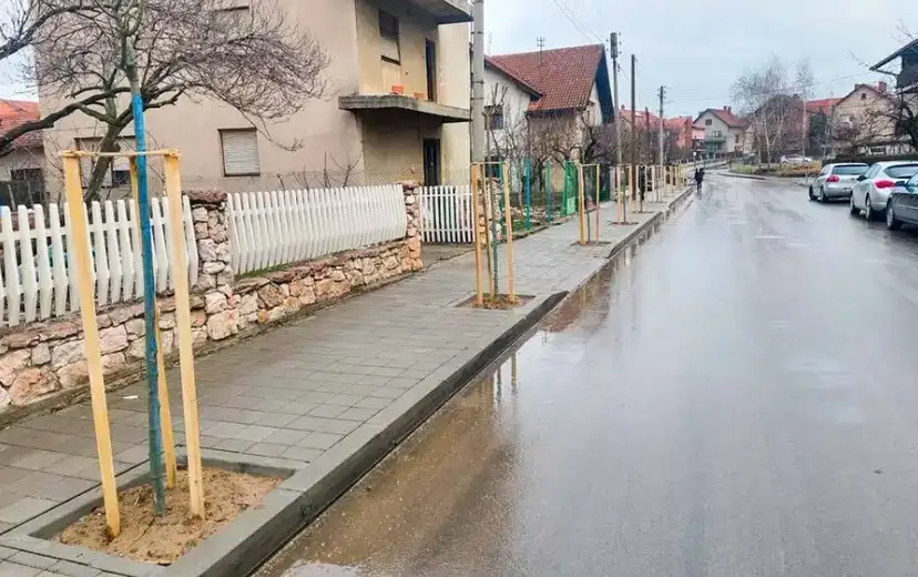 Završeno ozelenjavanje ulice Pavla Ilića Veljka