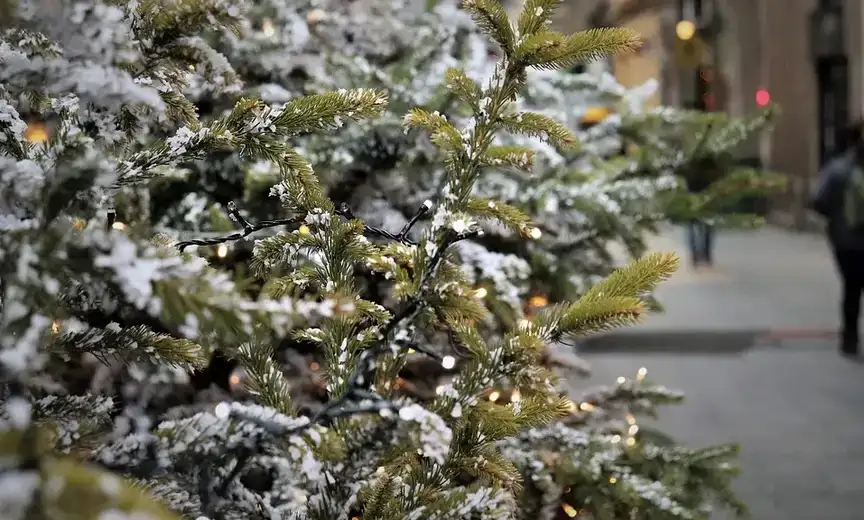 Kada je najbolje vreme za kićenje jelke?