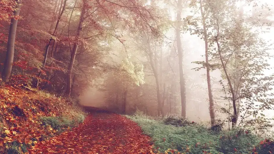 U Zaječaru sunčano ali hladno vreme: Temperatura do 10c