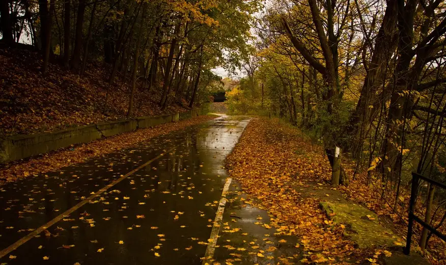 U Zaječaru hladnije sa padavinama