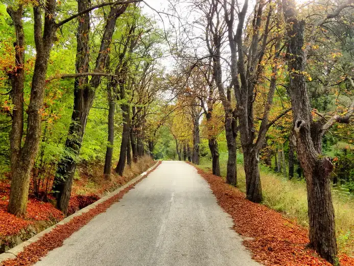 Zaječar traži projektanta za Park rimskih careva sa 17 skulptura imperatora rođenih na teritoriji Srbije, trijumfalnom kapijom, amfiteatrom, akvaduktom, rimskim kupatilom i selom