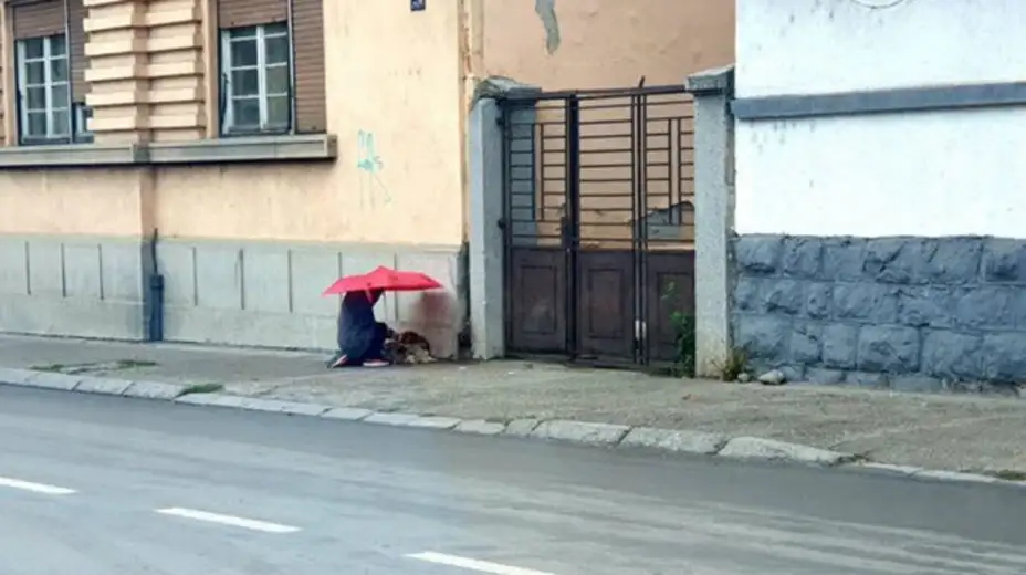 Dečak iz Zaječara pod kišobran sakrio psa od kiše