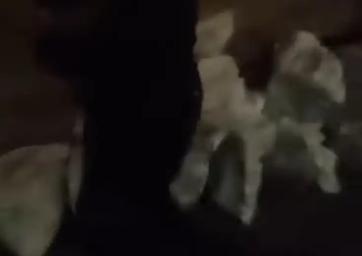 Džakovi puni kamenja po beogradskim ulicama: Policajac kaže – ima ih svuda po gradu