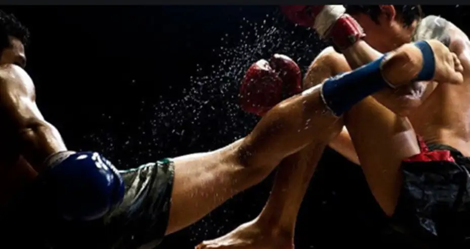 Borilački spektakl oduševio Zaječarce