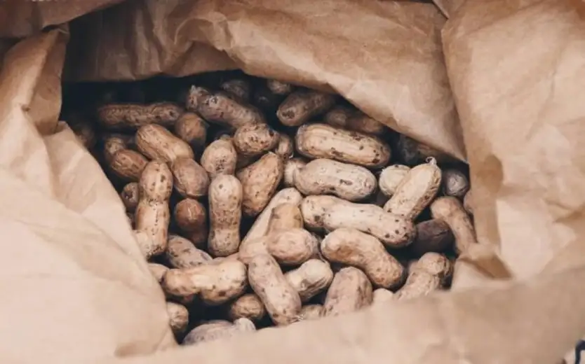 Proizvodnja i pakovanje kikirikija - alternativa standardnim poljoprivrednim kulturama