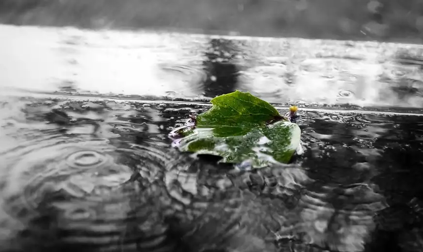 Na severu sunce, na jugu kiša: Kakvo nas vreme očekuje do kraja vikenda