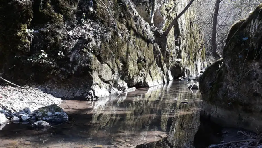 Vlaški do - "Od sjaja do očaja" (VIDEO+FOTO)