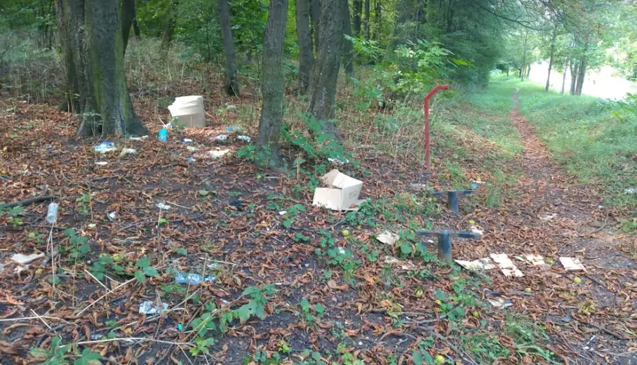 Naš grad - čist grad: Smeće na Kraljevici