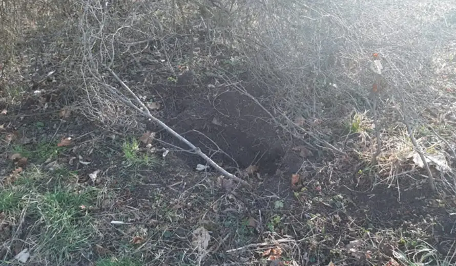 Prijavi problem: Uklonjen leš psa sa Sunčane staze