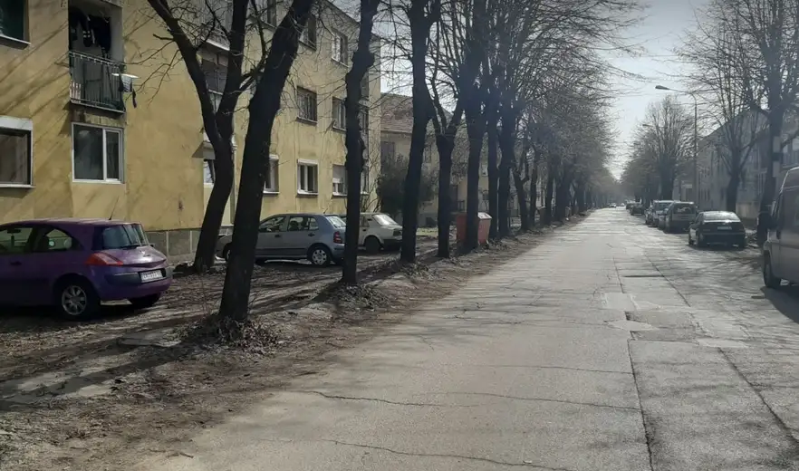 Ničić: Problem sa lipama imaju oni koji ovde ne žive - kako da izvedemo rekonstrukciju sa starim lipama?