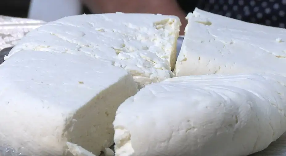 Iz Velikog Izvora u Srbiju i svet: Jevino belo zlato