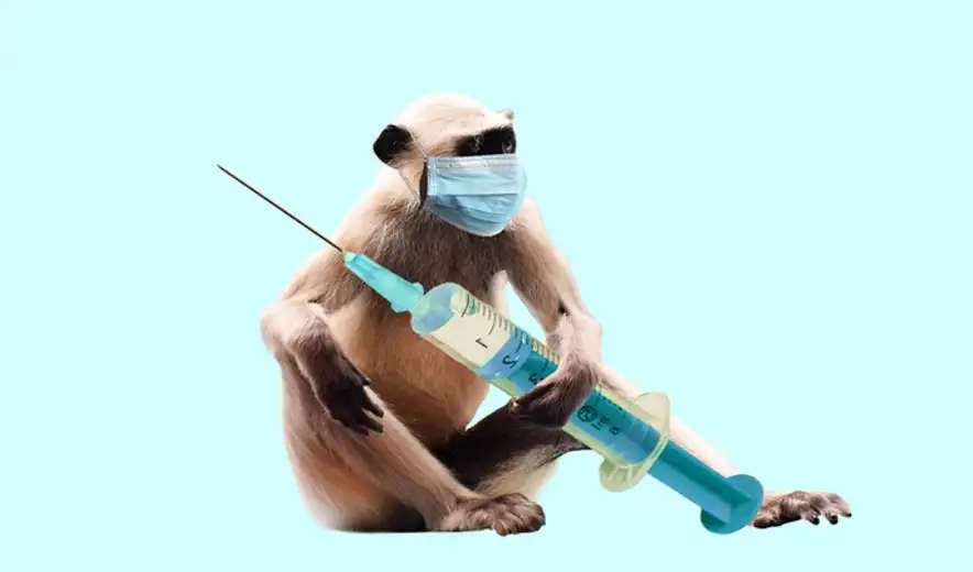 Kineske zdravstvene vlasti otkrile novi, mutirani soj majmunskih boginja