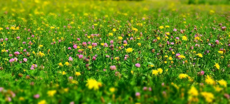 Vremenska prognoza za 9.jun