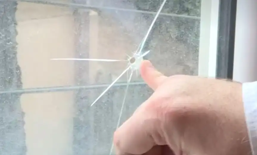 Milić: U noći između subote i nedelje pucano na moj stan