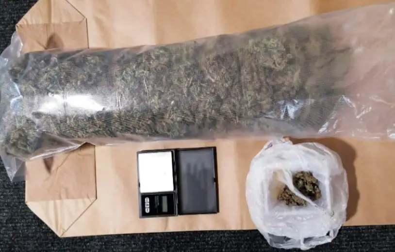 Sokobanja: Zaplenjeno oko kilogram marihuane