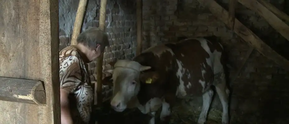 Hleb sa sedam kora: Imanje se sticalo uz mukotrpan rad