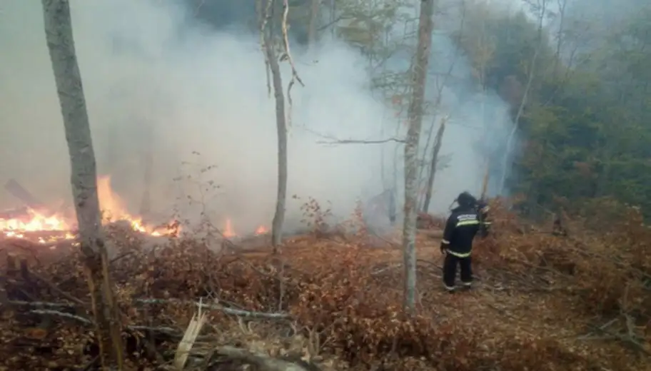 MUP: Situacija sa požarom koji je zahvatio Staru planinu znatno je povolјnija