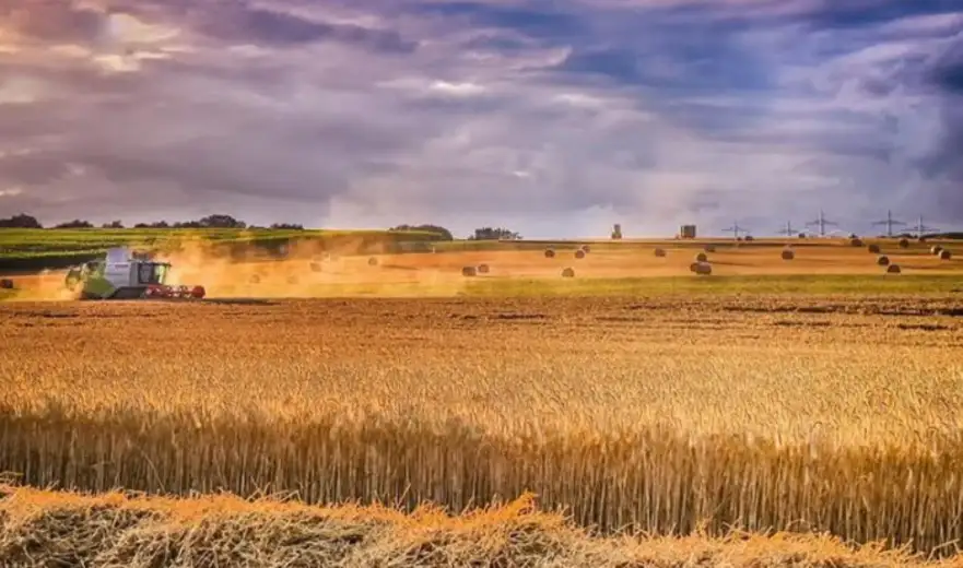 U okolini Zaječara na prodaju ponuđeni zemljište i objekti