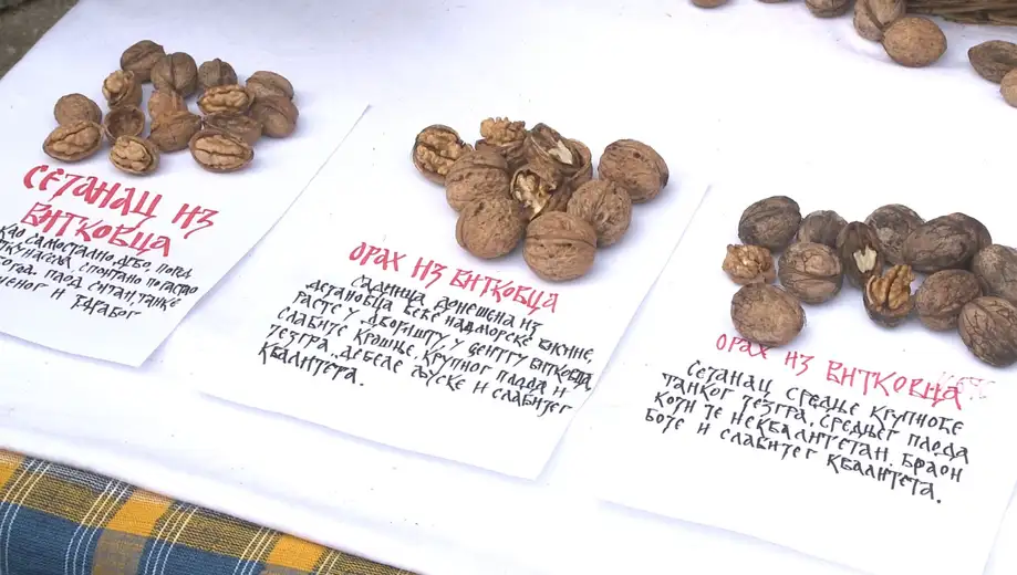 “Timočki dani oraha” za vikend u Vitkovcu