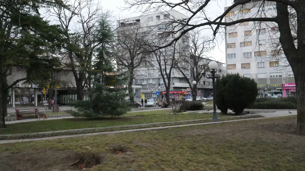 Šajn (Romska partija): Tužilaštvo da se pozabavi SNS sistemom kontrole romske zajednice