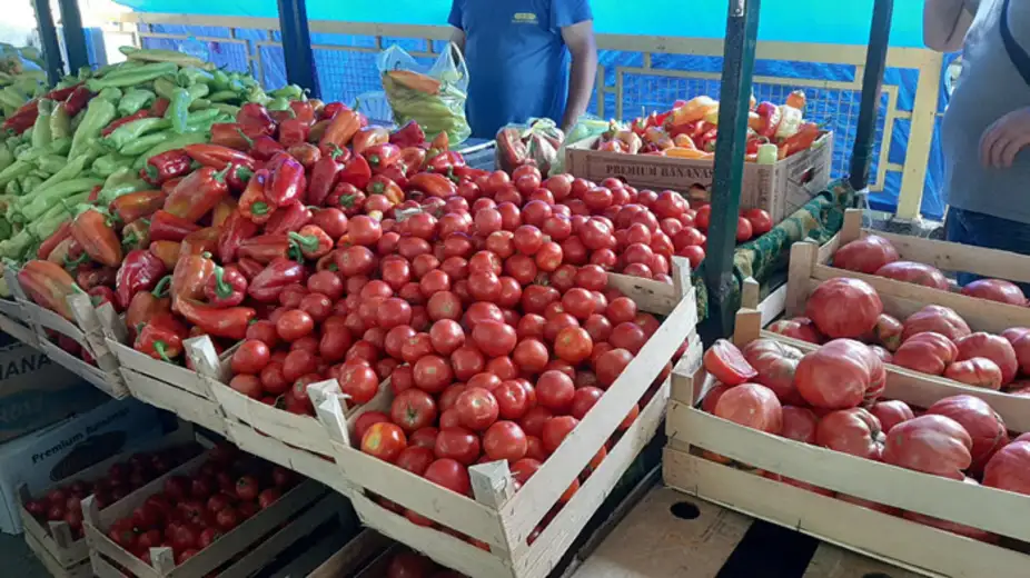 Pijačni barometar: Kilogram paradajza košta i do 150 dinara