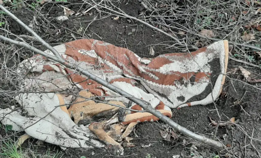 Prijavi problem: Pored Sunčane staze leš psa prekriven ćebetom