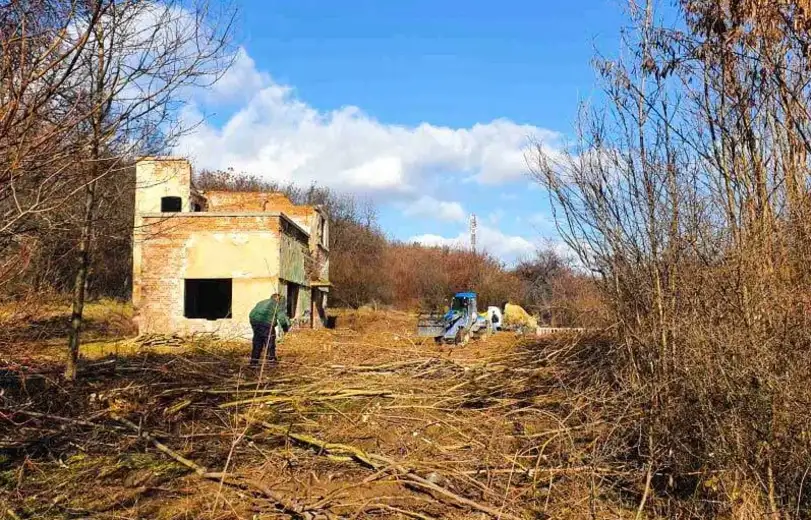 Počelo uređenje Paviljona, Rimskih stepenica i Istočne tvrđave: Radnici krče šiblje