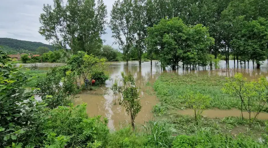 “Nas je osmoro u porodici. Kompletno je sve uništeno. Sada moramo da kupujemo namirnice”, Porodica iz Zvezdana govori za Glas Zaječara o poplavama