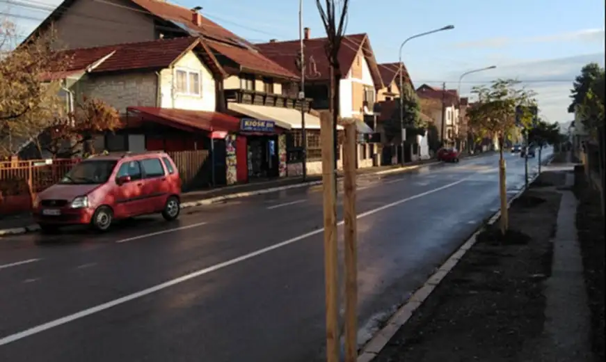 Sadnice zamenjene, kablovi popravljeni