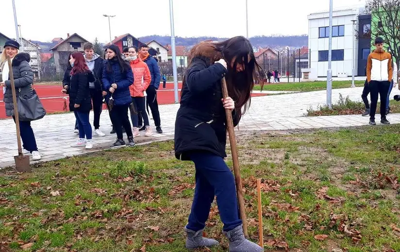 JKP "Timok održavanje" uručilo sadnice belog jasena školama i vrtićima u okviru akcije "Posadi svoj hlad"