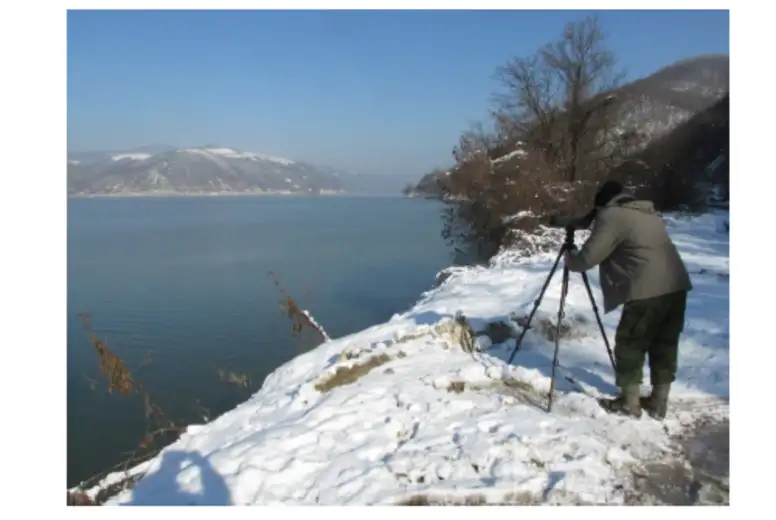 Uključi se: Startovao je Međunarodni popis ptica vodenih staništa