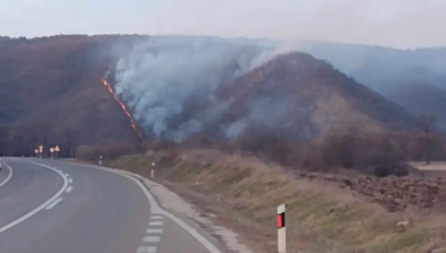 Požar posle skretanja za Feliks Romulijanu: Vatrogasci na terenu