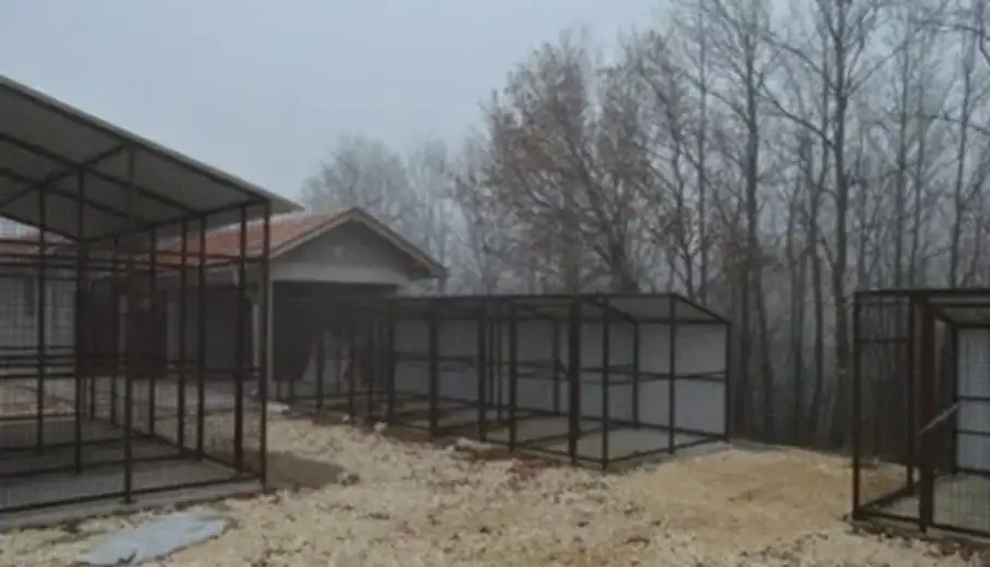 DJB: Plac u zamenu za državni posao!