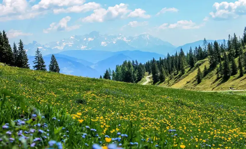 “Miholjski susreti sela” u podnožju Stare planine
