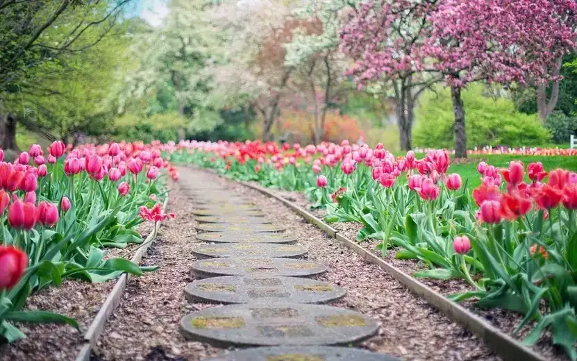 Koji vitamini su najvažniji u borbi protiv prolećnog umora?