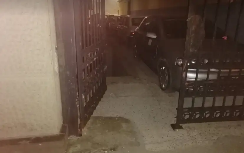 Čovek u centru Zaječara davio psa