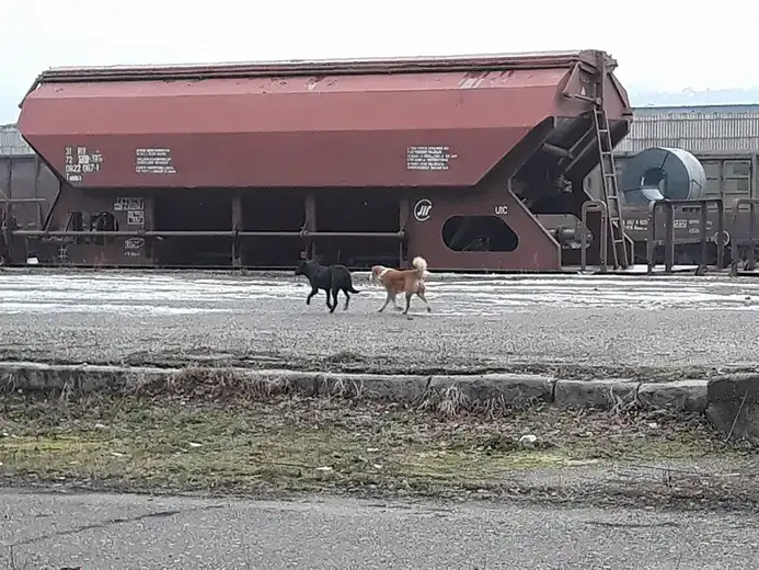 Iskliznuo tererni voz kod Vratarnice