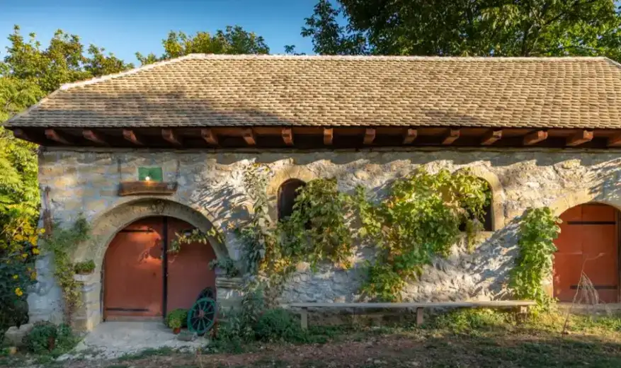 Mladi sa Rajačkih pimnica: Najvažnije je da selo ponovo oživi