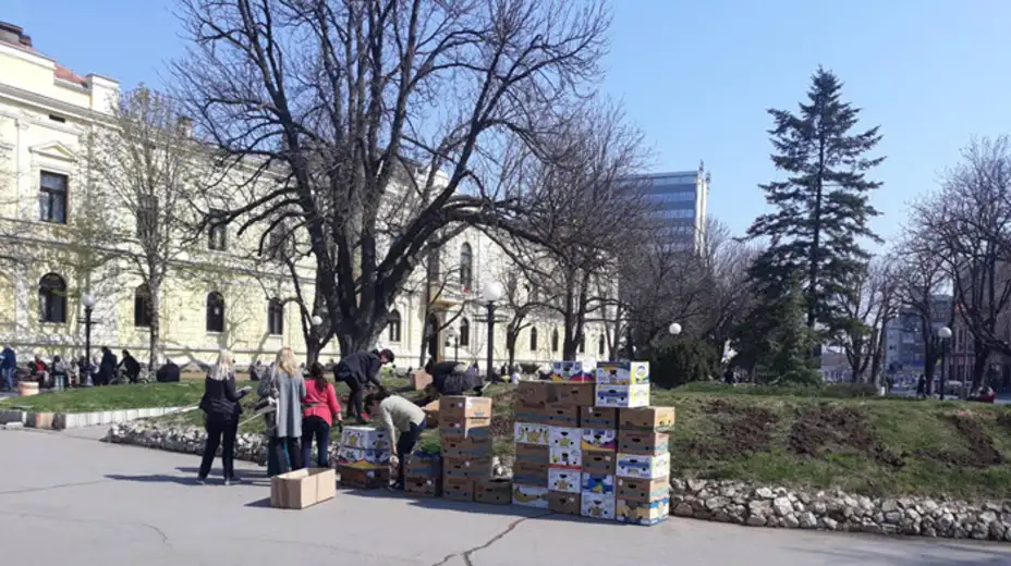 U 2019 godini JKP "Timok održavanje" planira da za rasad utroši 4.000.000 dinara (FOTO)