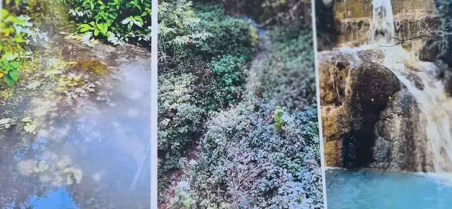 Udruženje "Čukaru Peki": Edukacijom protiv ekološke kataklizme na istoku Srbije