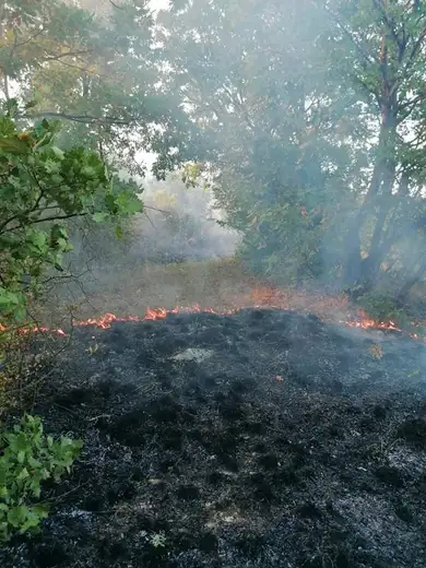 Požar u ataru sela Borovac