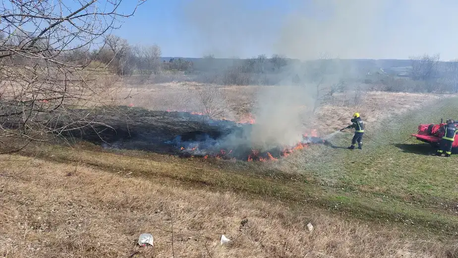 Požar kraj puta Zaječar - Negotin, vatrogasci na terenu