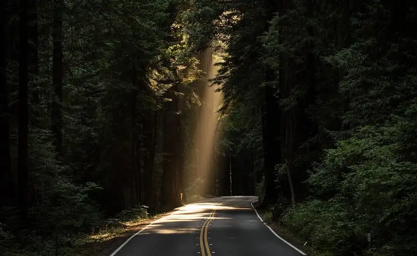 Od ponoći nove cene putarina