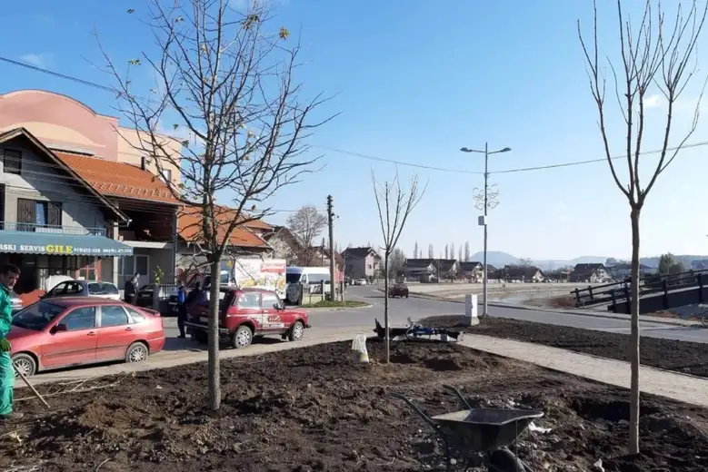 Javna površina kod "Drvenog mosta" obogaćena novim sadnicama